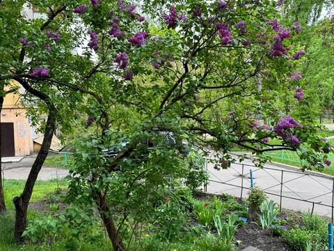 квартира за адресою Кубанської України вул. (Маршала Жукова), 21