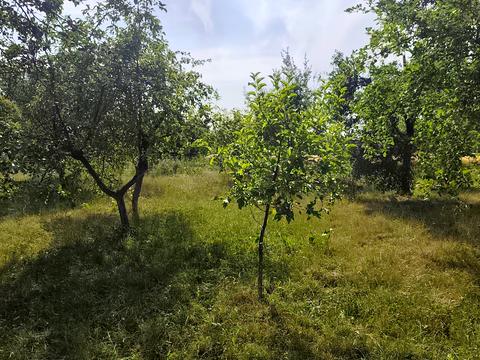 будинок за адресою Нова
