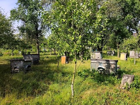 будинок за адресою Нова