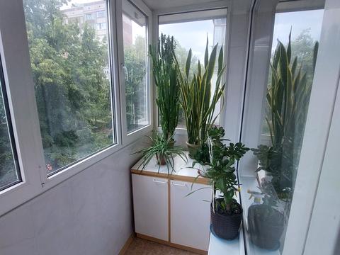 квартира за адресою Ньютона вул., 123б