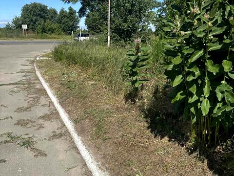 ділянка за адресою Покровська вул. (Суворова)