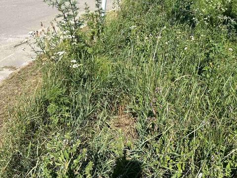 ділянка за адресою Покровська вул. (Суворова)
