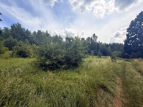 ділянка за адресою В.Винниченка