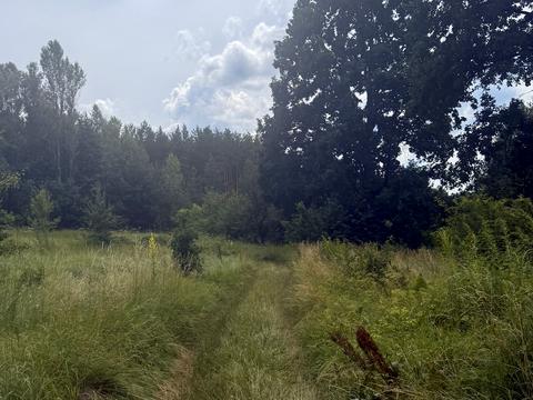 ділянка за адресою В.Винниченка