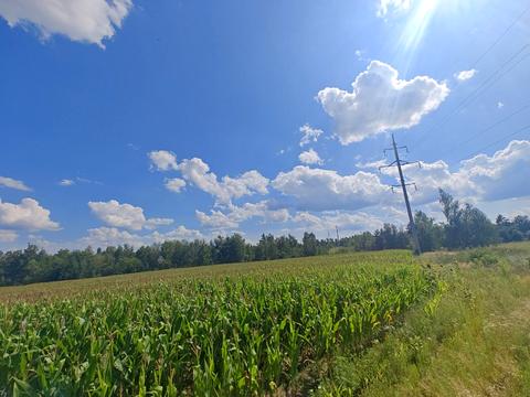 ділянка за адресою с. Крушинка, провулок Бугаївський, 6А