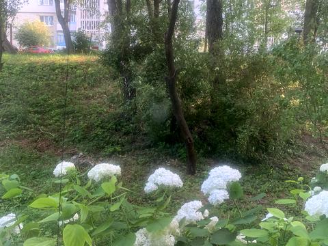 квартира по адресу Кушнірука ул. (Гастелло), 20