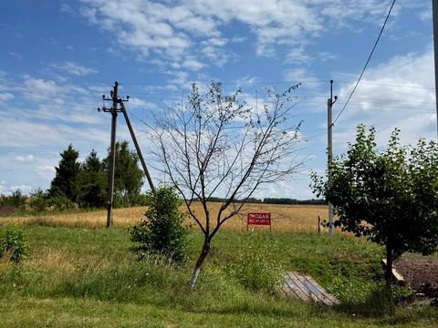 ділянка за адресою с. Підгайці, Данила Галицького