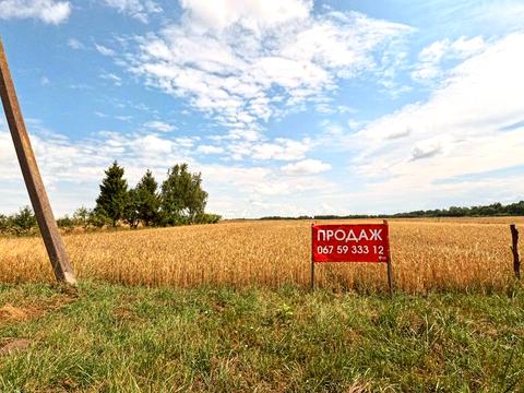 ділянка за адресою с. Підгайці, Данила Галицького