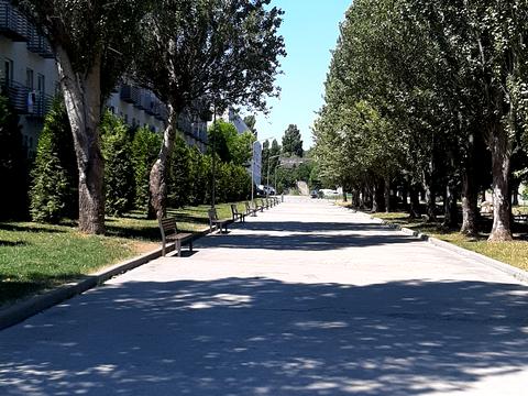 квартира по адресу Николая Боровского ул., 1/17