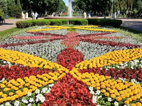 квартира за адресою Алішера Навої просп., 57