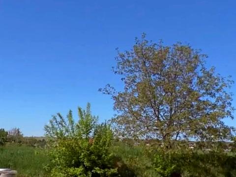 ділянка за адресою с. Байківці, 