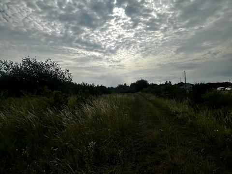 1870617442651754