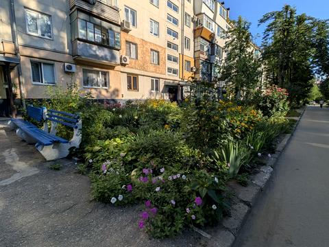 квартира по адресу Бочарова ул., 14-А