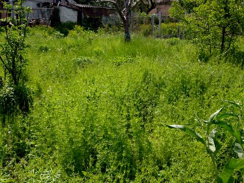 дом по адресу Чепурна ул. (Гастелло), 39