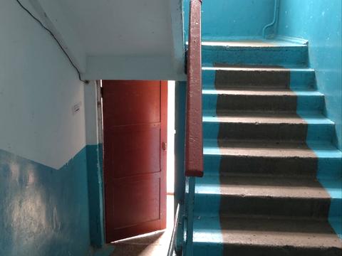 квартира по адресу Видинская ул., 3