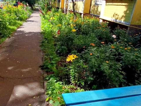 квартира за адресою Рональда Рейгана вул. (Теодора Драйзера), 11-А