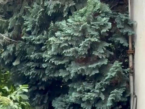 участок по адресу Покутская ул., 24