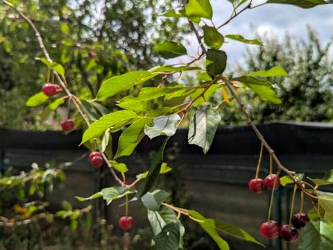 дом по адресу Лінія, 8