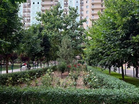 квартира по адресу Жемчужная ул., 3