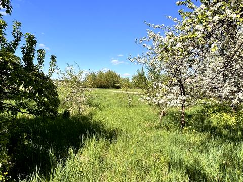 ділянка за адресою Шевченка вул., 36