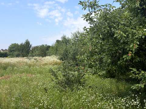 ділянка за адресою Провулок Садовий