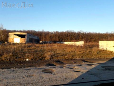 комерційна за адресою Борщів, Володимира Великого вул., 5