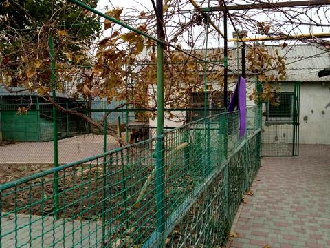 будинок за адресою Центральна