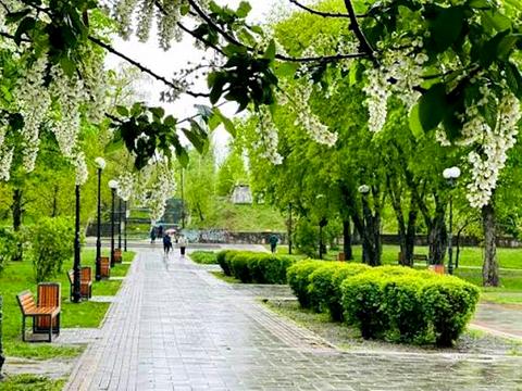 квартира за адресою Миколи Василенка вул., 13