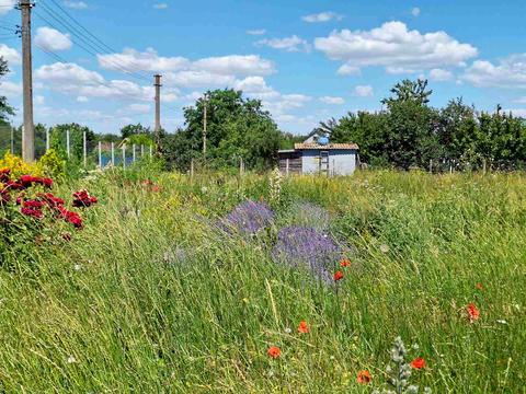 ділянка за адресою Чорноморськ (Іллічівськ),