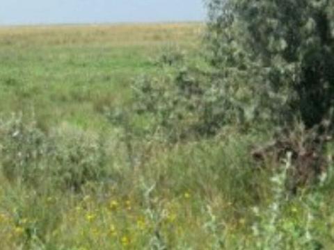 участок по адресу Ярослава Мудрого ул.