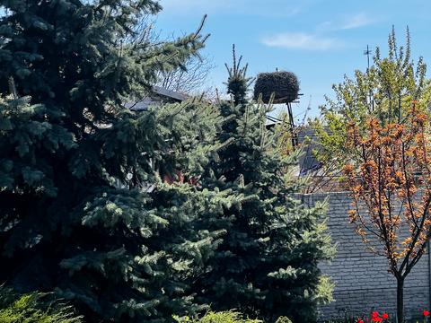 будинок за адресою Кропивницький, Василя Бикова вул. (Волгоградська), 12