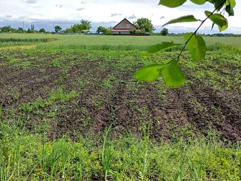 ділянка за адресою Перемоги, 5