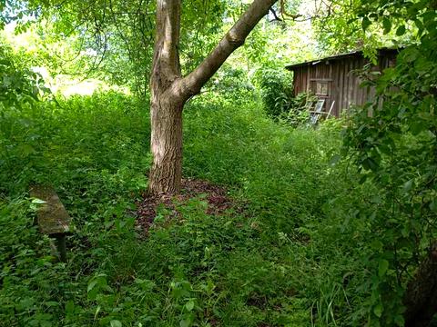 ділянка за адресою с. Черняхів, Перемоги, 5