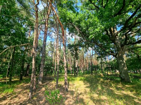 ділянка за адресою Обухівське шоссе