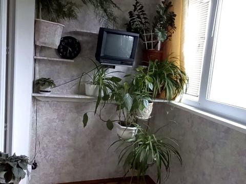 квартира по адресу Анны Ахматовой ул., 16-В