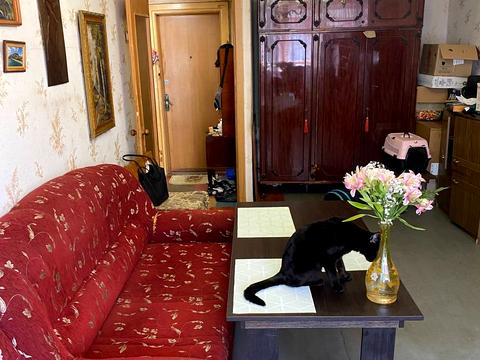 квартира по адресу Дмитра Скоробогатова ул., 7