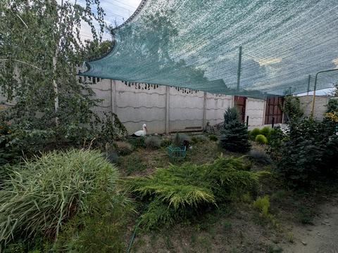 будинок за адресою Ялинкова вул. (Крупської)