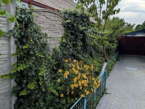 будинок за адресою Ялинкова вул. (Крупської)