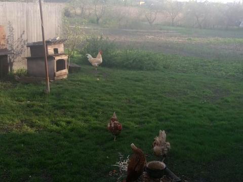 дом по адресу Незалежності, 10