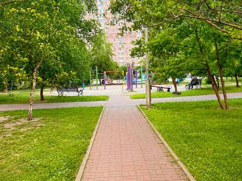 квартира за адресою Олени Пчілки вул., 2