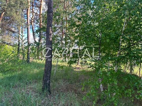 участок по адресу Луговая ул., 30-Б