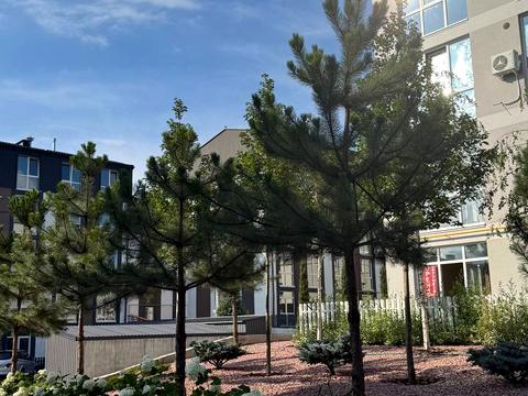 коммерческая по адресу Гідності ул., 5