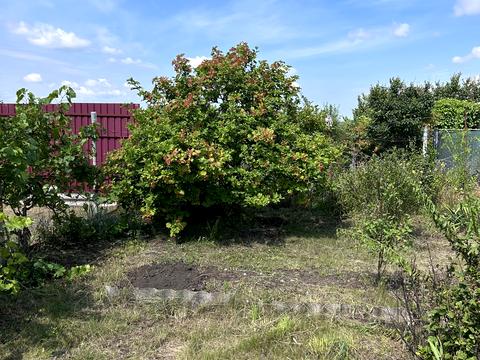 дом по адресу Садове товариство Елуа