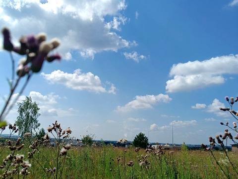 участок по адресу Березова ул.
