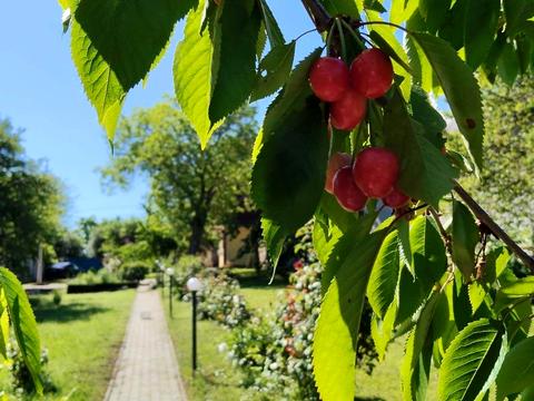 будинок за адресою Трифона Гладченка вул. (Аврори), 38