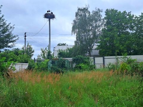ділянка за адресою с. Іванівка, лісова, 23а