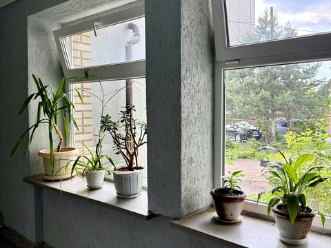 квартира по адресу Любинская ул., 96