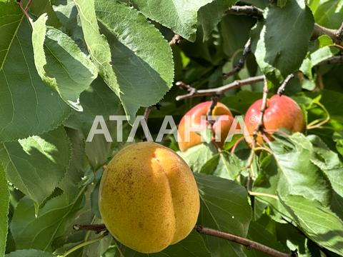будинок за адресою Богдана Хмельницького вул., 28