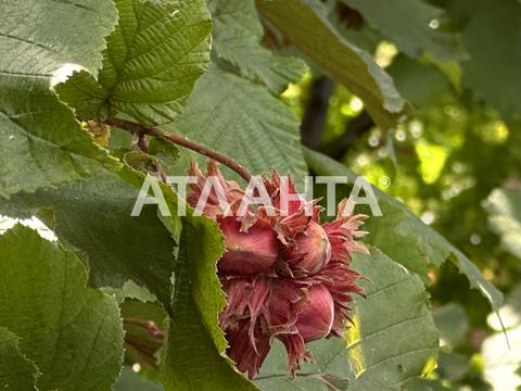 будинок за адресою Богдана Хмельницького вул., 28