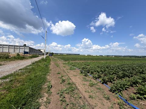 участок по адресу 1й провулок Немирівське шосе